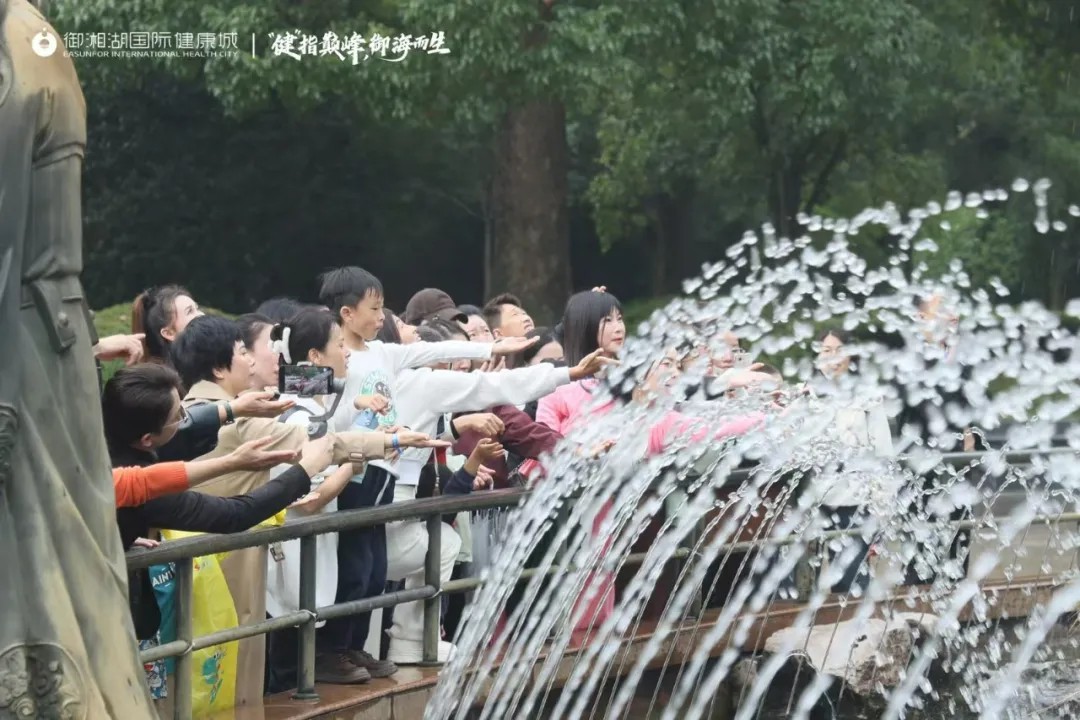 管家婆精准二十四码
